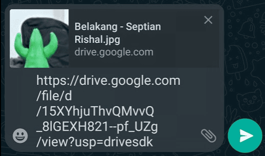 cara mengirim file asli foto lewat wa