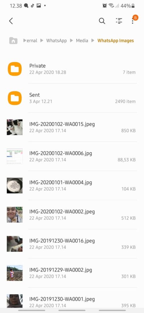 Membuka Langsung File Lewat Folder WhatsApp